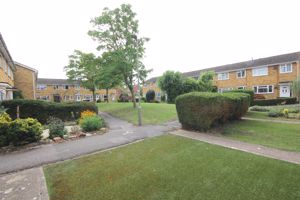 Front garden- click for photo gallery